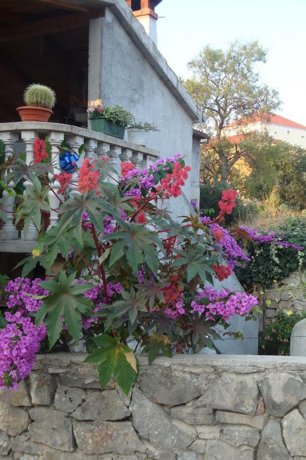 Apartmani Gojko Sali Esterno foto